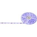 Globo 38990