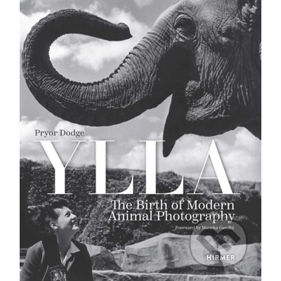 Ylla - Pryor Dodge