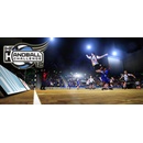 IHF Handball Challenge 12