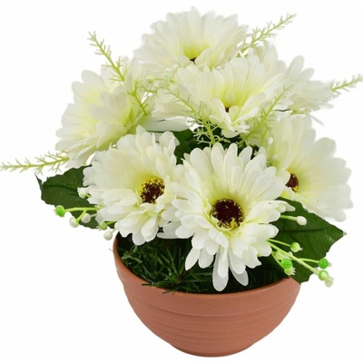 BerryHome Gerbery krémové 7 květů v terakotové misce, průměr 22/24 cm
