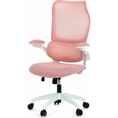 HomePro KA-C807