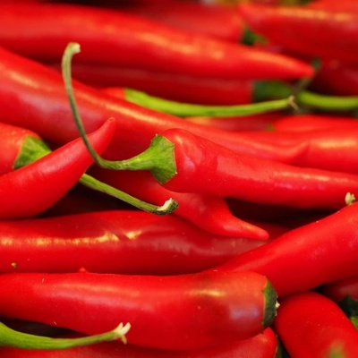 Chilli - Kajenský pepř Thick - Cayenne peper - semena - 6 ks