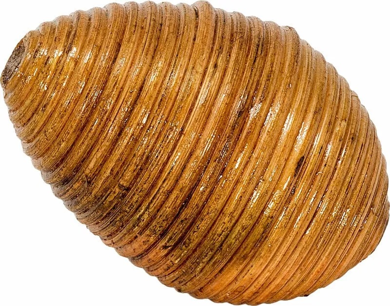 Terre Egg Rattan Шейкър (38440253)