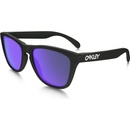 Oakley Frogskins OO9013-24-298