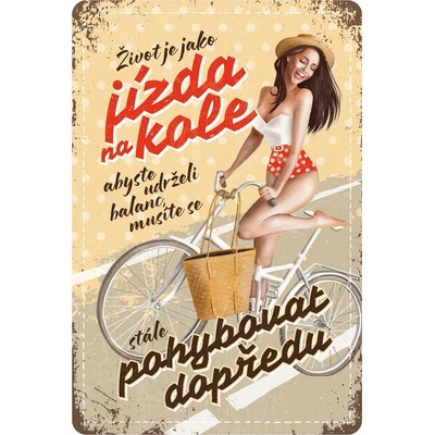 Postershop Plechová cedule: Život je jak jízda na kole - 20x30 cm
