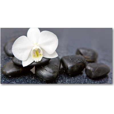 Fotoobraz na skle orchidea 100x50 cm