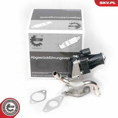 AGR-Ventil ESEN SKV 14SKV101