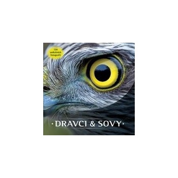 Dravci a sovy