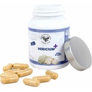 Hericium Plus 90 kapsúl
