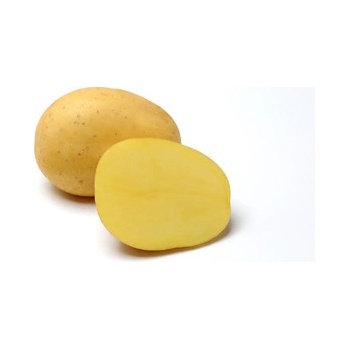 Sadba brambor BELANA (balení 25kg)