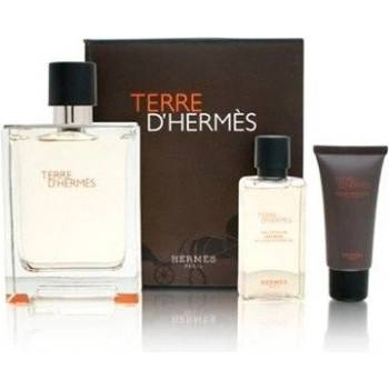 Hermés Terre D'Hermés EDT 100 ml + balzám po holení 40 ml + pěna na holení 50 ml dárková sada