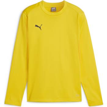 PUMA Суитшърт Puma teamGOAL Training Sweat Jr 658651-07 Размер 116