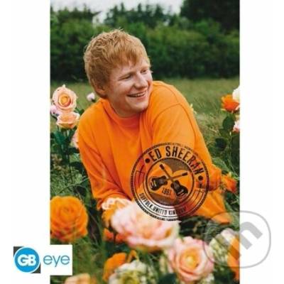GB Eye Limited Ed Sheeran Plakát Maxi: Rose Field 91,5 x 61 cm