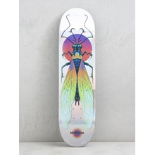 Birdhouse Jaws Ilham Insects