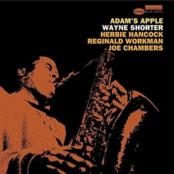 SHORTER WAYNE - ADAMS APPLE LP