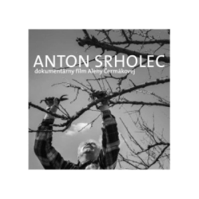 Anton Srholec Cesta, po ktorej som išiel