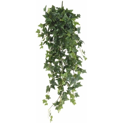 Anglický umelý brečtan popínavý, 120cm