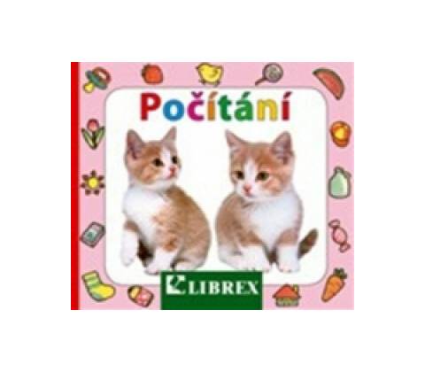 Počítání