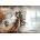 Magnolia - Puzzle Blind Date - 1 000 piese