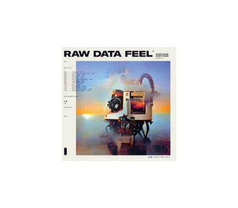 Everything Everything - Raw Data Feel Pi LP