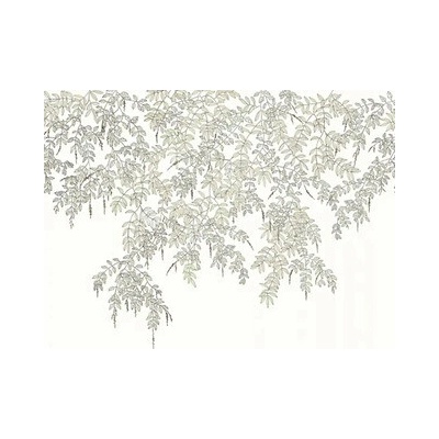 Caselio Vliesová fototapeta Art of Botany Lístie biela 200x220 cm