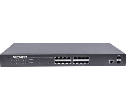 Intellinet 561341