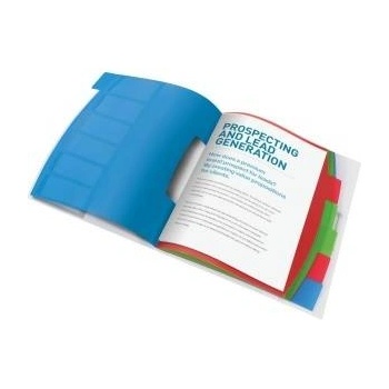 Esselte Binder briefcase 6 cover esselte vivida