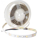 Eco Light EC79875