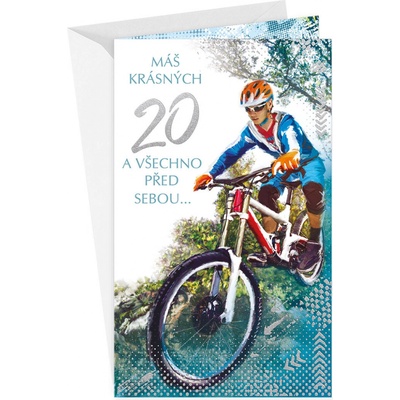 ARGUS Přání k narozeninám 20 15-6477c20