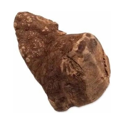 Epic Pet kořen vřesový přírodní 10 cm