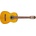 Ibanez GA3