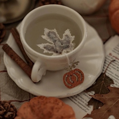 TEA HERITAGE Čierny čaj s tekvicou a korením Maple Leaf 5 ks