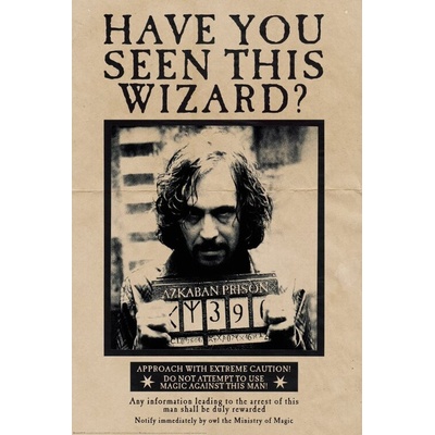 Plagát, Obraz - Harry Potter - Wanted Sirius Black, 80 × 120 cm