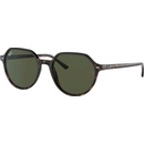 Sluneční brýle Ray-Ban RB2195 902/31