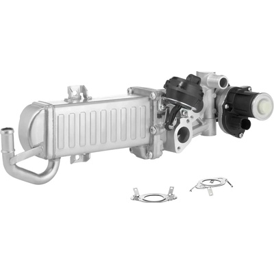 BorgWarner AGR modul BGW 710861D/1