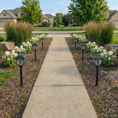 vidaXL Слънчеви лампи за външна употреба с колче за земя 6 бр. 42 cm (42042712)