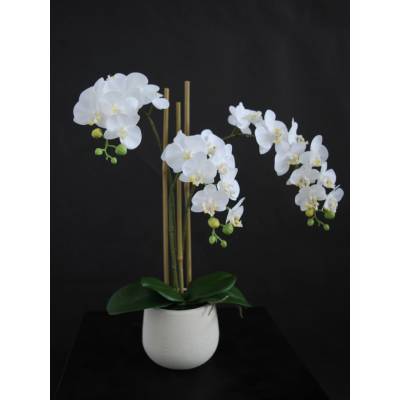 ILA Umělá rostlina Orchidej Phalaenopsis Mini (50cm) - bílá