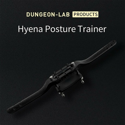 DG-LAB Hyena Posture Trainer