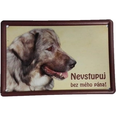 Plechová psí cedule, Kavkazský ovčák, Nevstupuj bez mého pána!