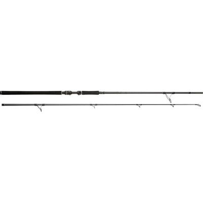 Westin W3 Cat Spin 3rd XXH 254 cm 60-200 g 2 díly