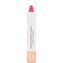 EmbryolisseBalzám na rty Artist Secret Rouge Intense 2,5 ml