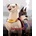 Zuty Рисуване по номера Крипто и Асо (DC League Of Super-Pets) (M10-040-050-606365)