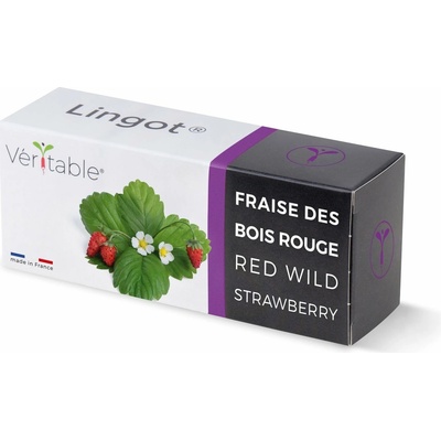 Véritable Lingot Divoké červené jahody