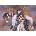 Anatolian - Puzzle Pindle: Wicasa - 1 000 piese