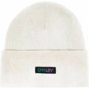 Oakley B1B Gradient Patch beanie mist