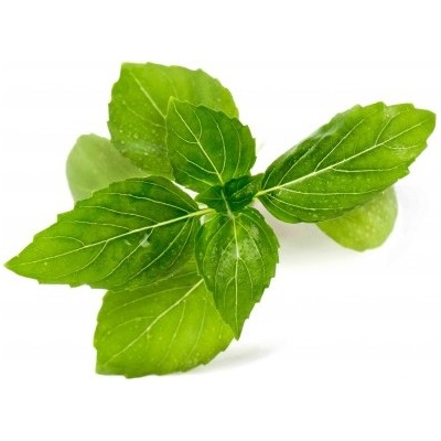 Veritable Вложка за семена Lingot Необичайни канелени билки (lingot-bazylia-cynamonowa)