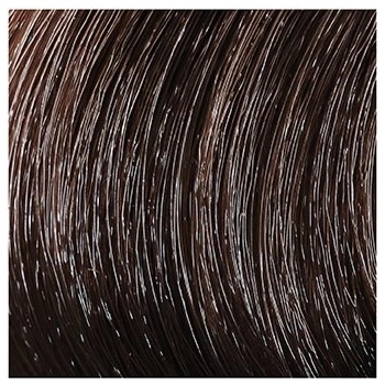 Color & Soin barva na vlasy 4B kaštanově hnědá 135 ml