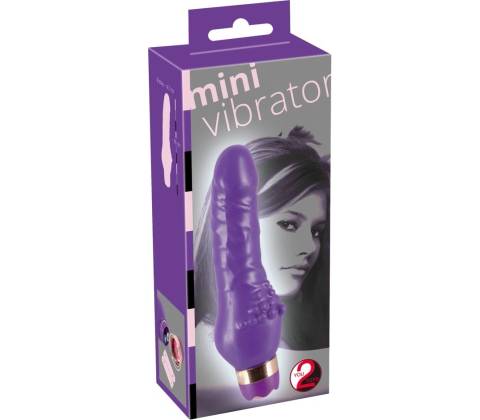 You2Toys Mini vibe