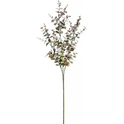 Blahovičník - Eukalyptus spray červený (x33) v65 cm (FB109371908)