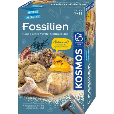 Thames & Kosmos Образователна игра Thames & Kosmos - Фосили за изкопаване, на английски (617226)